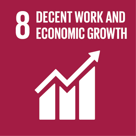UN Sustainable Development Goal — Decent Work and Economic Growth