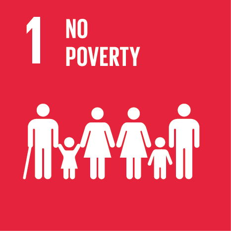 UN Sustainable Development Goal — No Poverty