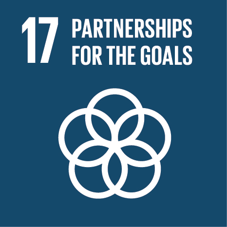 UN Sustainable Development Goal — Partnerships for the Goals